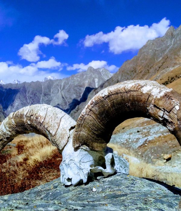 IMG20181021124035-EFFECTS