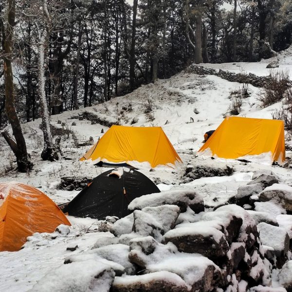 IMG_20201228_081148-01