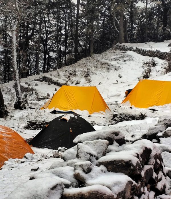 IMG_20201228_081148-01